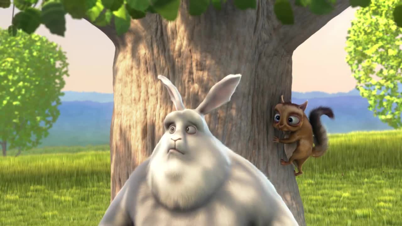 Gros Lapin Blanc